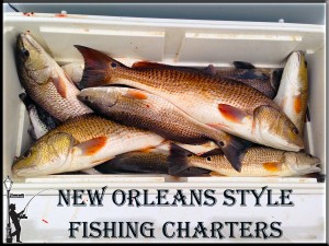 New Orleans Fishing Charter Fishing Guides Louisiana Fish Reports In NOLA