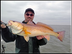 New Orleans Fishing Charter Fishing Guides Louisiana Fish Reports In NOLA