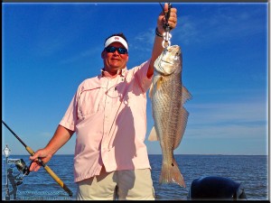 New Orleans Fishing Charter Fishing Guides Louisiana Fish Reports In NOLA